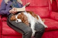 Sleeping doggy and woman Royalty Free Stock Photo